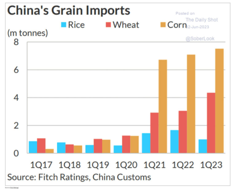 importazioni mai Cina